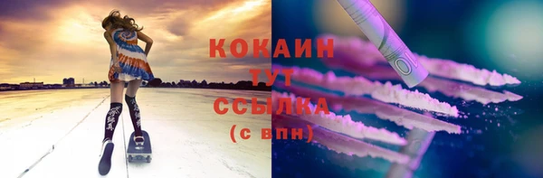 сатива Абинск