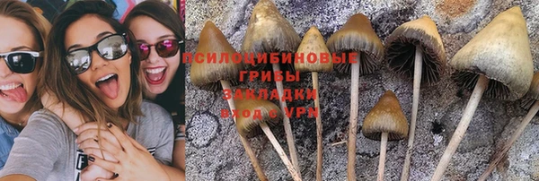 мдпв Абаза