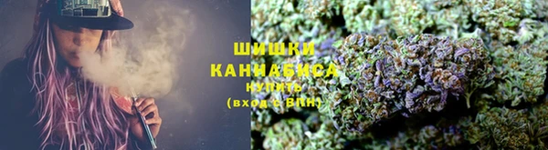 сатива Абинск