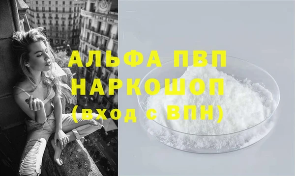 сатива Абинск